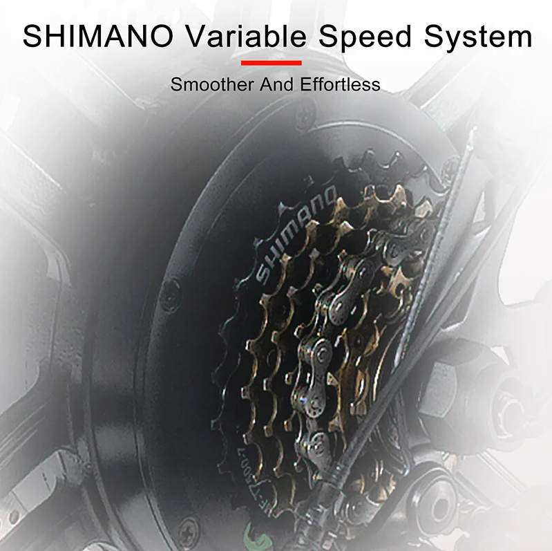 Janobike V8 - Electric Bike Dual Battery