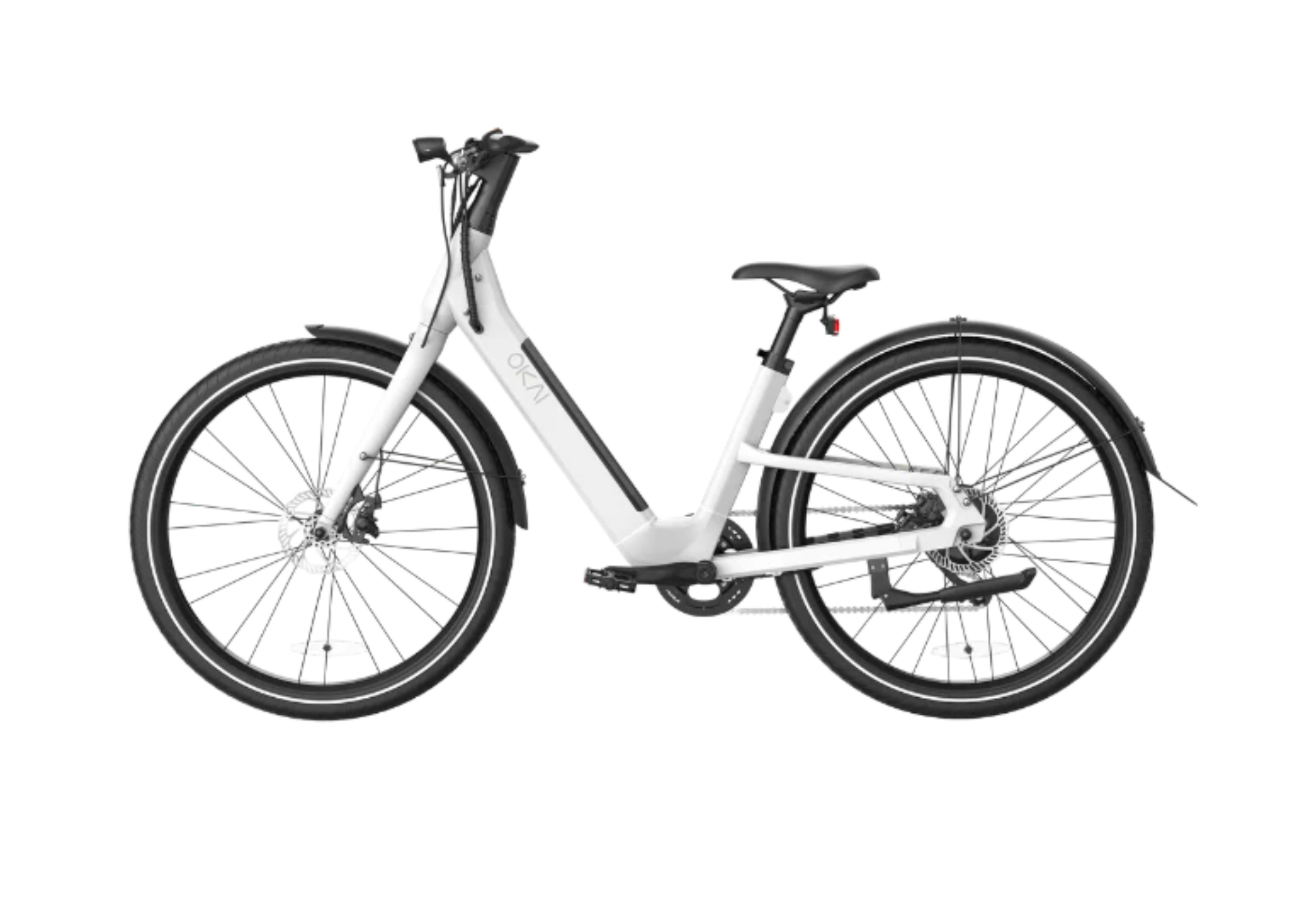 EB40 ELECTRIC BIKE