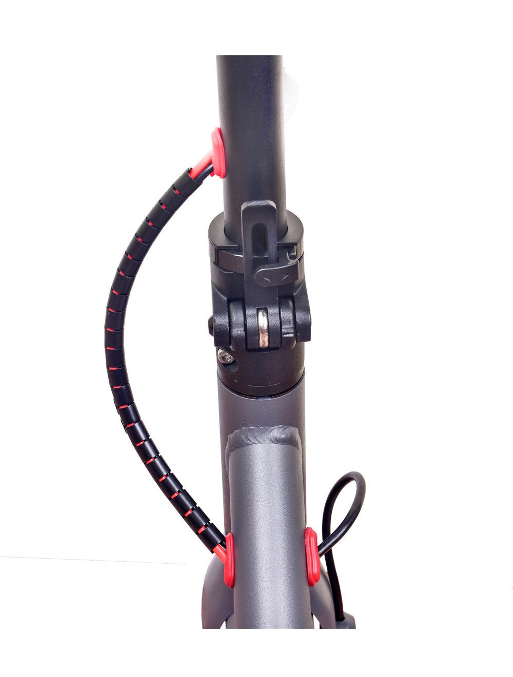 Electric Scooter - D8 Pro- 36 V 7.5AH Foldable E-Bike- Black