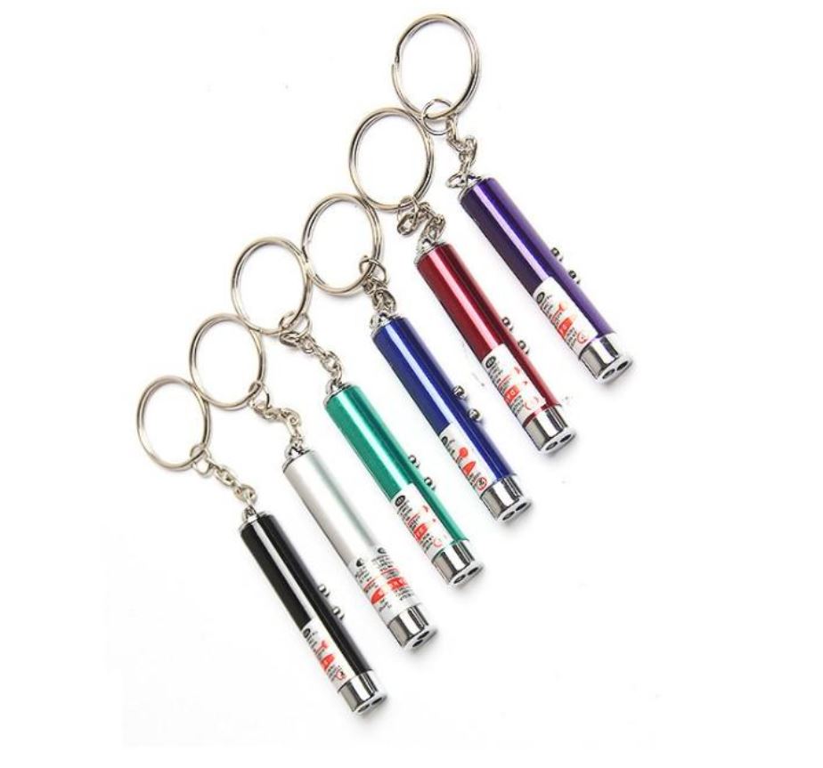 2 in 1 Laser Pointer/Light with Key Holder