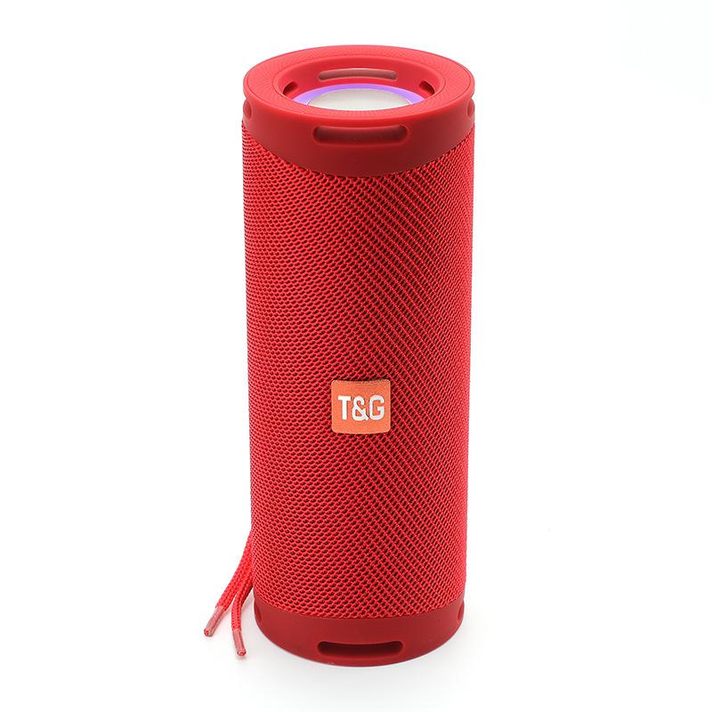 Portable Wireless Speaker (TG289)