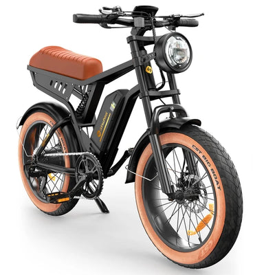 iSinwheel R6 Retro Electric Bike – 1000W Motor, 48V 13Ah Battery, 45–75 Mile Range, 20" Fat Tires