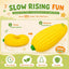 Squishy Toy - Jumbo Large Soft Corn (25 cm)