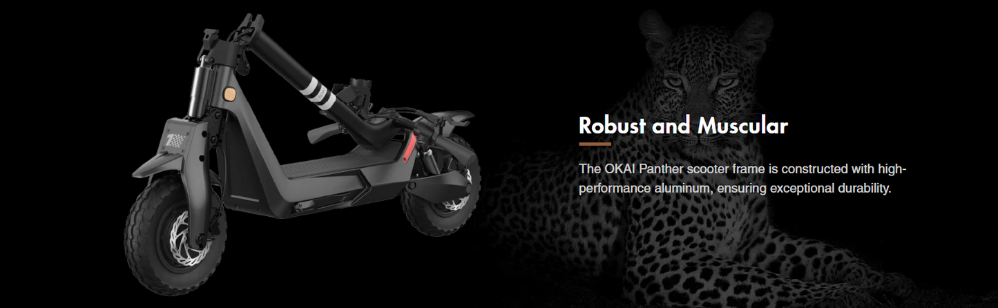 OKAI Panther ES800 Electric Scooter – Dual Motor, High-Speed Performance, 11" Off-Road Tires, Long Range