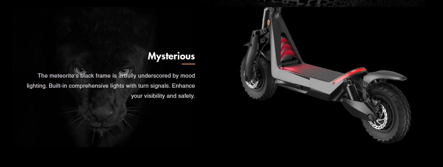 OKAI Panther ES800 Electric Scooter – Dual Motor, High-Speed Performance, 11" Off-Road Tires, Long Range