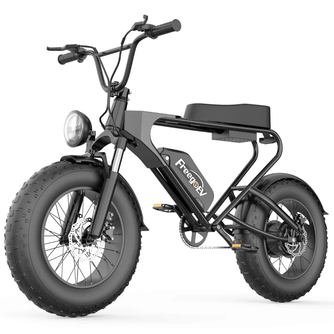 FREEGO DK200 ELECTRIC BIKE