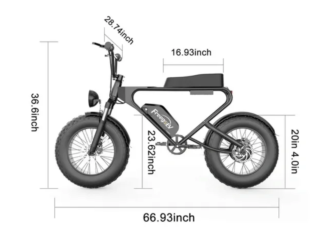 FREEGO DK200 ELECTRIC BIKE