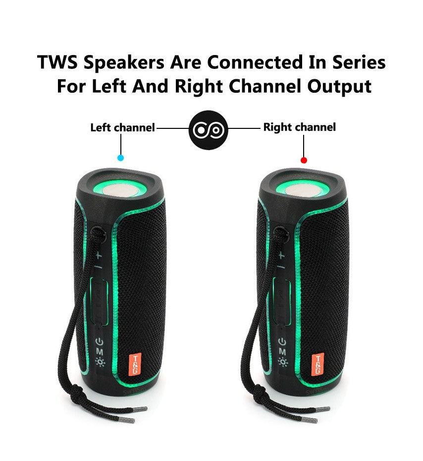 Portable Wireless Speaker (TG288)