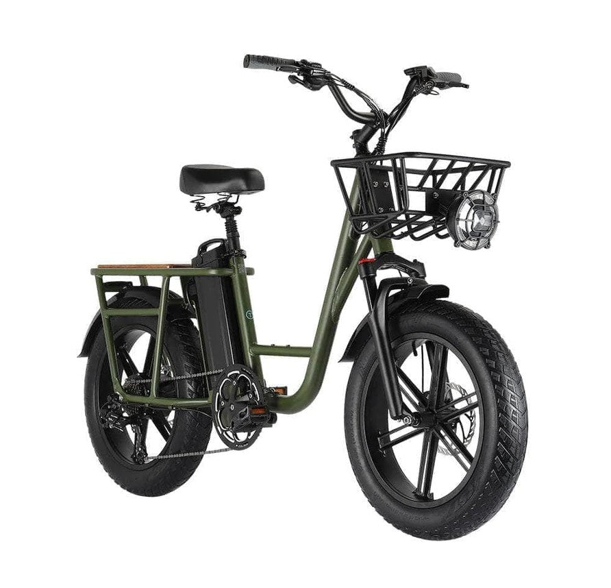 FIIDO T1 (Cargo E-Bike)