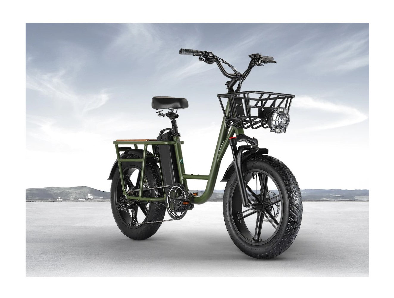 FIIDO T1 (Cargo E-Bike)