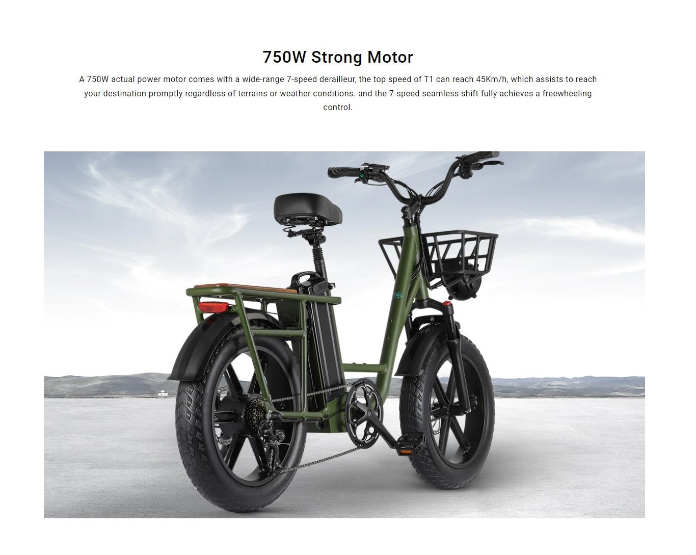 FIIDO T1 (Cargo E-Bike)