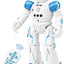 Robot Cady Action Toy (R2)