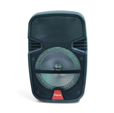 Ridgeway Wireless Karaoke Speaker (QS-819)